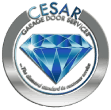 Cesar Garage Door Services